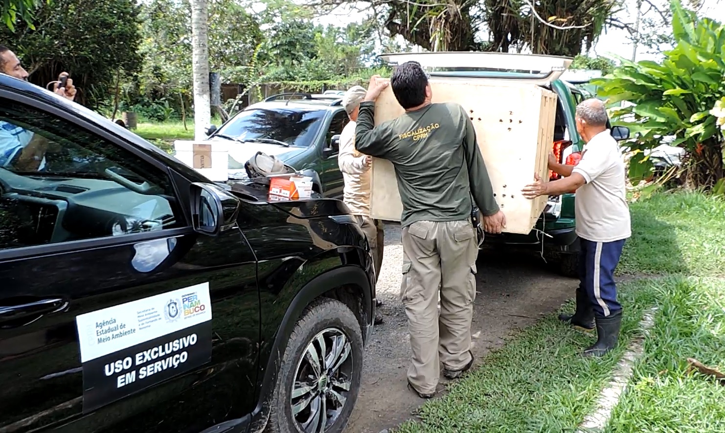 CPRH e Ibama repatriam 98 animais silvestres para Bahia e São Paulo
