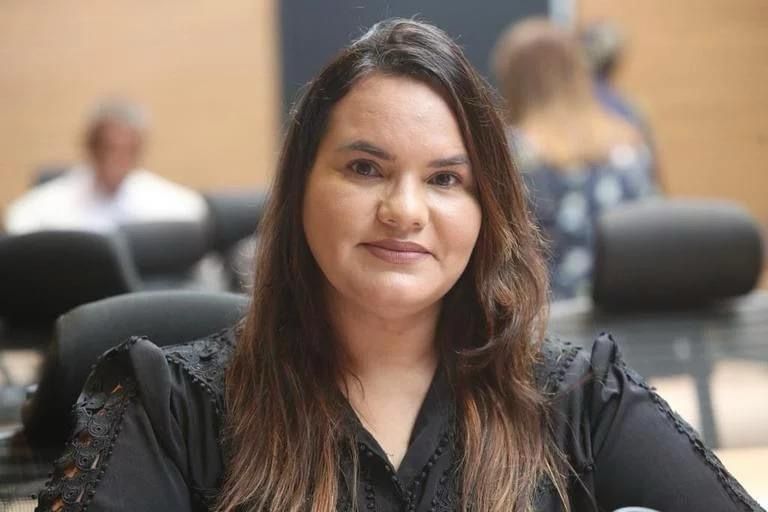  Michele Collins lidera aprovação de emendas à LDO na Câmara do Recife