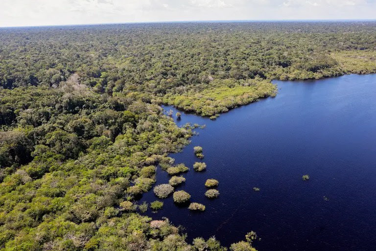  Plano Clima Participativo: Governo percorre o Brasil para discutir emergência climática com a população Encontros presenciais em oito cidades incentivam a participação e informam sobre engajamento no processo.