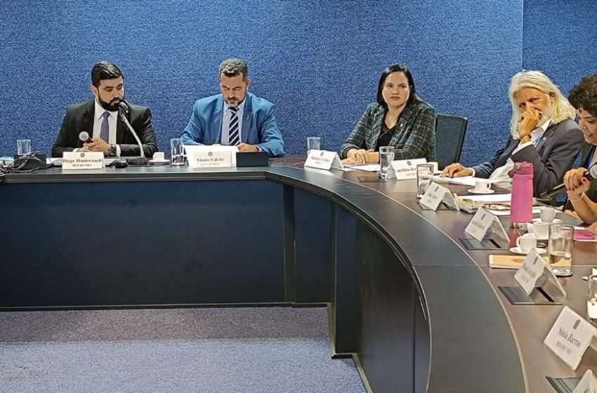  Michele Collins Participa de Reunião sobre Apoio às Pessoas com Dependência Química no MDS Discussão visa criar nota técnica para diferenciar comunidades terapêuticas de clínicas especializadas.