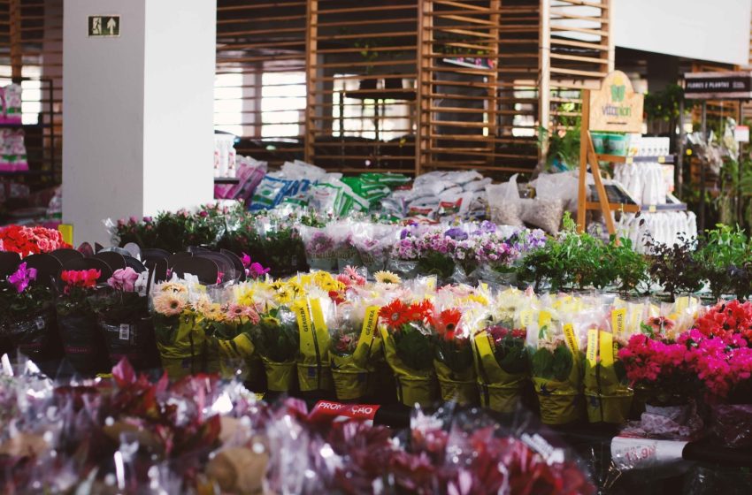  Palato celebra a chegada da primavera com exposição no Festival das Flores