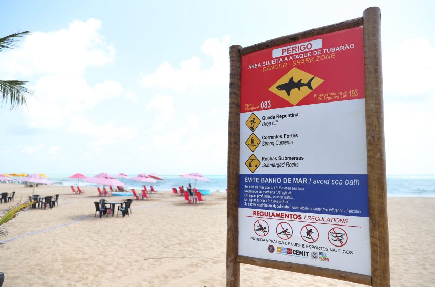 Dia do Trabalhador: CEMIT Alerta para Cuidados Essenciais no Banho de Mar durante o Feriado Maré baixa entre 12h e 14h oferece o melhor horário para um banho seguro; atenção redobrada nas praias da Região Metropolitana do Recife.