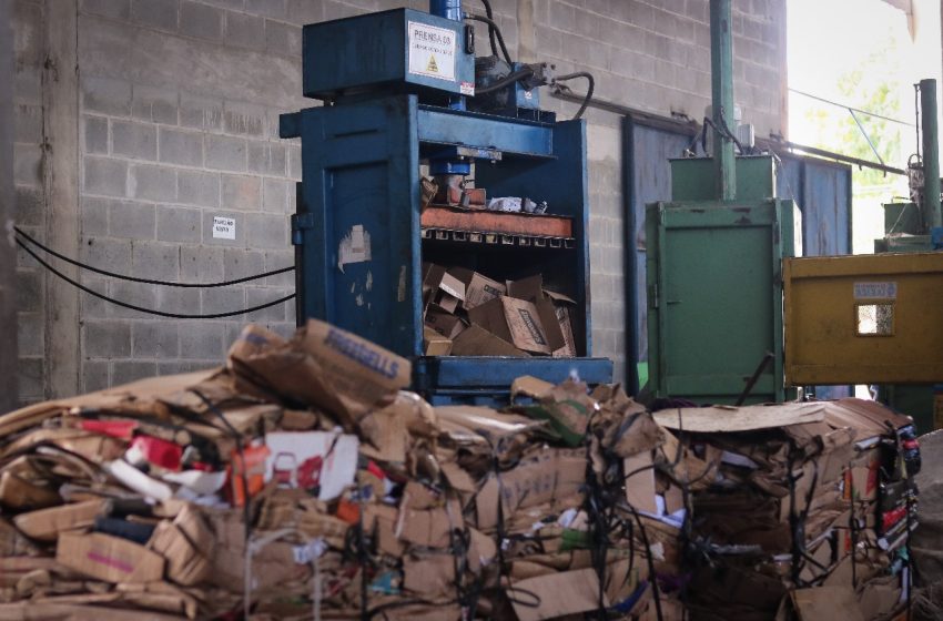  Recicla+Pernambuco inicia mentorias para gestores públicos sobre coleta seletiva e reciclagem inclusiva Capacitações técnicas online com especialistas do Instituto Recicleiros orientam municípios para estruturar políticas públicas sustentáveis e inclusão de catadores.
