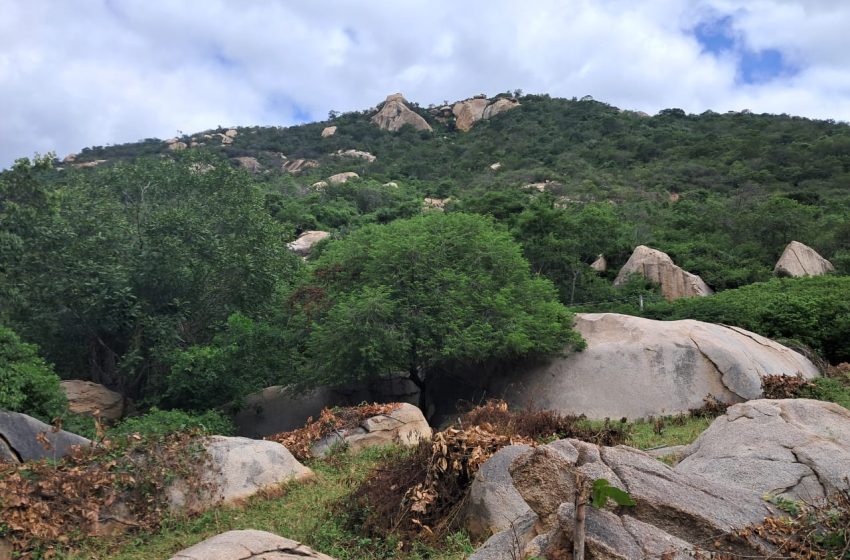 Oficinas participativas marcam nova etapa do projeto de criação das Unidades de Conservação da Caatinga Projeto envolve comunidades locais em diálogo sobre a preservação da fauna e flora do semiárido pernambucano, com encontros entre maio e junho.