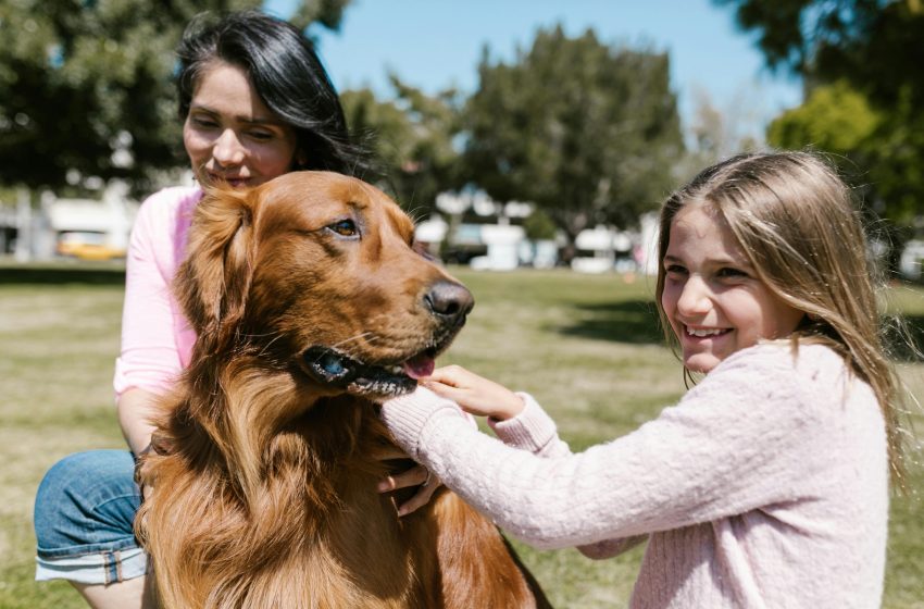 Medicina veterinária preventiva amplia bem-estar animal e fortalece saúde pública Práticas como check-ups regulares, vacinação e controle de doenças silenciosas garantem mais longevidade aos pets e sustentabilidade para o setor veterinário.