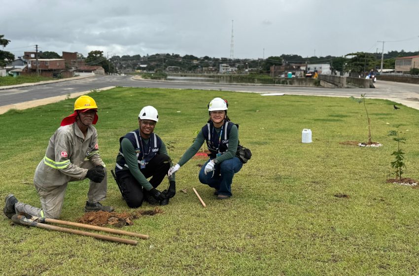 Canal do Fragoso e Via Metropolitana recebem ações ambientais durante Semana do Meio Ambiente Cehab realiza plantio de espécies nativas e monitoramento da fauna em obras estruturadoras na Região Metropolitana do Recife.