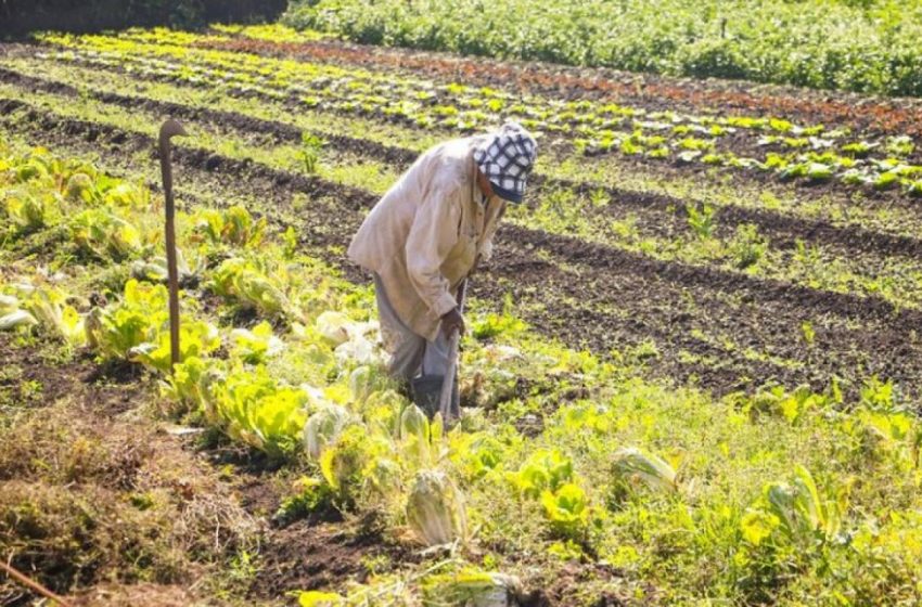  Fundos Constitucionais já repassaram mais de R$ 164 bilhões desde 2023 Setor rural lidera contratações; FNE é destaque com mais de R$ 105 bilhões. Crescimento dos recursos reflete avanço econômico do país.