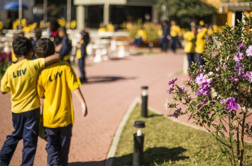  LBV celebra o Dia do Amigo com ações solidárias em todo o Brasil Campanha convida a sociedade a transformar amizade em solidariedade, com doações e voluntariado para ajudar famílias em situação de vulnerabilidade.