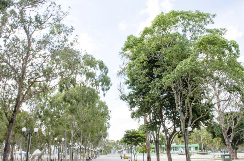  Garanhuns encanta com clima europeu, vinícola e charme serrano no Agreste de Pernambuco Conhecida como a “Suíça Pernambucana”, cidade a 230 km do Recife oferece flores, frio, vinhos e chocolate artesanal em meio às colinas do planalto da Borborema.