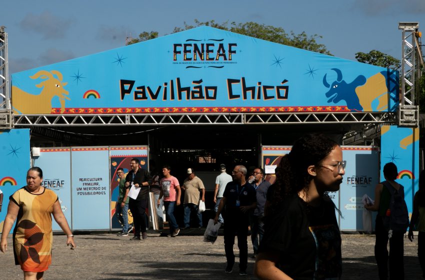  FENEAF 2025 bate recorde de inscrições e fortalece agricultura familiar em Pernambuco Segunda edição da feira reunirá 250 estandes, espaço para comunidades tradicionais e atrações como Cozinha Show com chef César Santos, unindo cultura, negócios e inovação no campo.