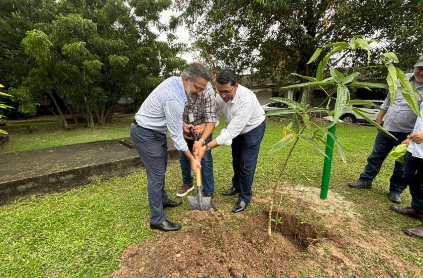  Pernambuco é o primeiro estado do Nordeste a integrar o Sistema de Inovação nos Sistemas Agropecuários (Sipa) Protocolo de intenções firmado com o MAPA estimula pesquisa, tecnologia e fomento a novos negócios em todas as cadeias agropecuárias do estado.