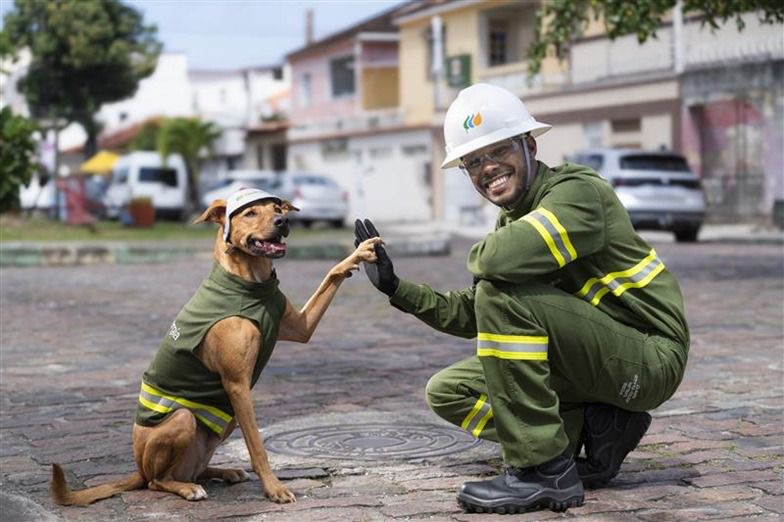  Neoenergia Pernambuco lança campanha “Amigo de Verdade” para reforçar segurança com a rede elétrica Ação protagonizada pelo eletricista da distribuidora e pelo cão Max alerta sobre riscos de acidentes, como soltar pipas perto da fiação e realizar ligações clandestinas, com crescimento de 30% nas ocorrências no Estado.