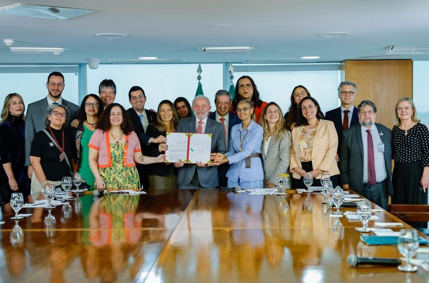 Brasil proíbe testes cosméticos em animais após sanção presidencial Nova lei veta comercialização de produtos testados em animais e marca avanço histórico pelos direitos dos animais no país.