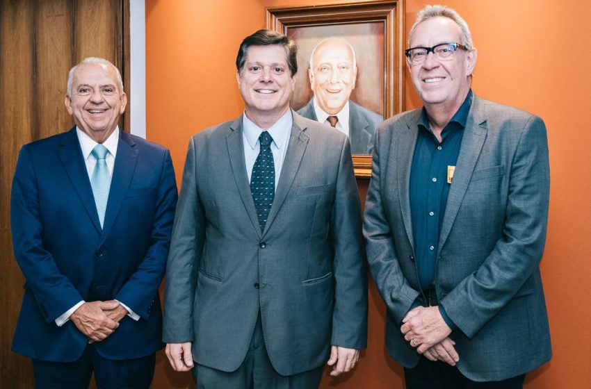  Álvaro Porto se reúne, em Brasília, com os presidentes do PSDB e MDB Encontros com Marconi Perillo e Baleia Rossi trataram de pautas nacionais e da organização partidária em Pernambuco.