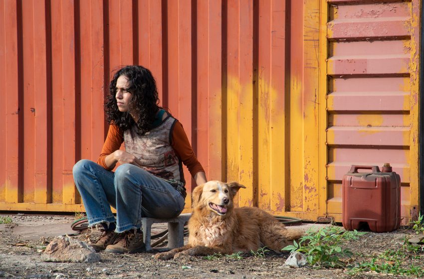  Cinema São Luiz exibe 11ª edição do Recifest com filmes sobre diversidade sexual e de gênero neste fim de semana Festival traz “Salomé”, de André Antônio, mostras competitivas de curtas, sessões especiais e debates; ingressos custam R$ 10 (inteira) e R$ 5 (meia).