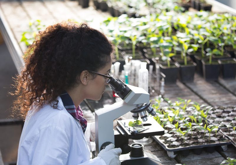  Sudene habilita 33 projetos na primeira fase do edital Inova Juventudes Iniciativa destina R$ 1 milhão para jovens pesquisadores do Nordeste, Norte de Minas e Espírito Santo desenvolverem tecnologias sociais em áreas como trabalho, meio ambiente e cultura.