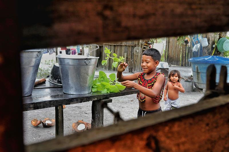  PEBA celebra matas e quilombos de Pernambuco e Bahia na CAIXA Cultural Recife Exposição fotográfica com obras de 59 artistas abre em 25 de setembro e segue até 23 de novembro, com programação de oficinas, dança, música e artesanato em homenagem às culturas afro e indígenas.