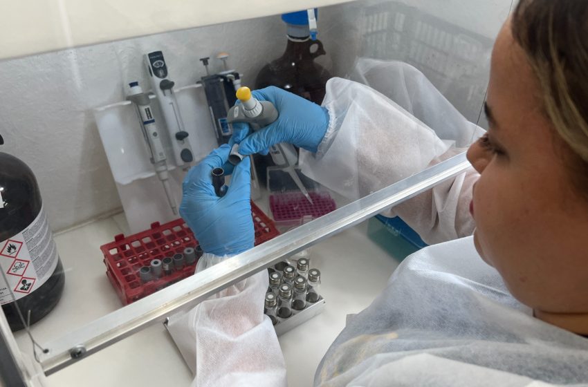  Perigo invisível: SDS alerta sobre intoxicação por metanol e como se proteger Com casos suspeitos em Pernambuco, Secretaria de Defesa Social orienta cuidados na compra de bebidas alcoólicas e reforça o papel do IML na investigação de intoxicações.