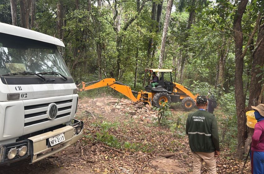  CPRH realiza nova operação e derruba construções irregulares na Mata do Frio, em Paulista Agência Estadual de Meio Ambiente interrompe supressão ilegal de vegetação e reforça fiscalização na Unidade de Conservação de 42,7 hectares da Mata Atlântica.