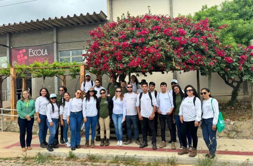  Senar-PE abre inscrições para cursos técnicos gratuitos da Rede e-Tec 2026.1 Processo seletivo oferece 105 vagas em Agronegócio, Fruticultura e Zootecnia, com inscrições gratuitas até 24 de novembro de 2025 nos polos de Recife, Garanhuns e Belém de São Francisco.