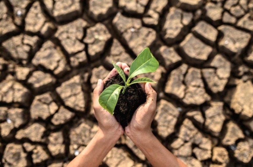  Arquitetos e urbanistas discutem soluções sustentáveis para enfrentar emergências climáticas no Recife II Simpósio de Emergências Climáticas em Arquitetura e Urbanismo reúne especialistas nacionais nos dias 1º e 2 de dezembro de 2025 para debater estratégias baseadas na natureza.