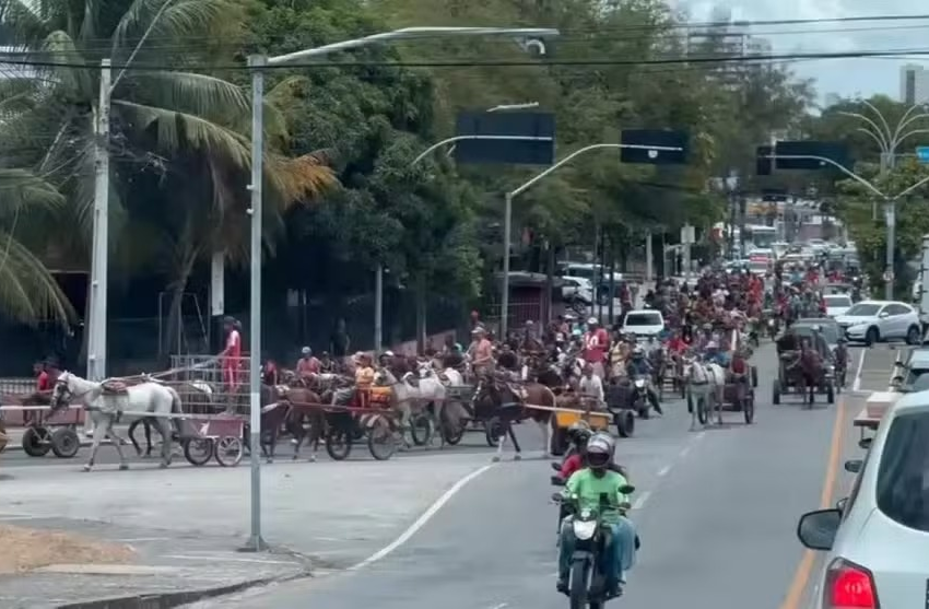  Carroceiros protestam no Recife contra lei que proíbe veículos de tração animal Manifestação percorreu principais vias da capital e cobra mudanças no programa municipal, enquanto a prefeitura anuncia nova etapa de cadastramento e compensações para a retirada das carroças.