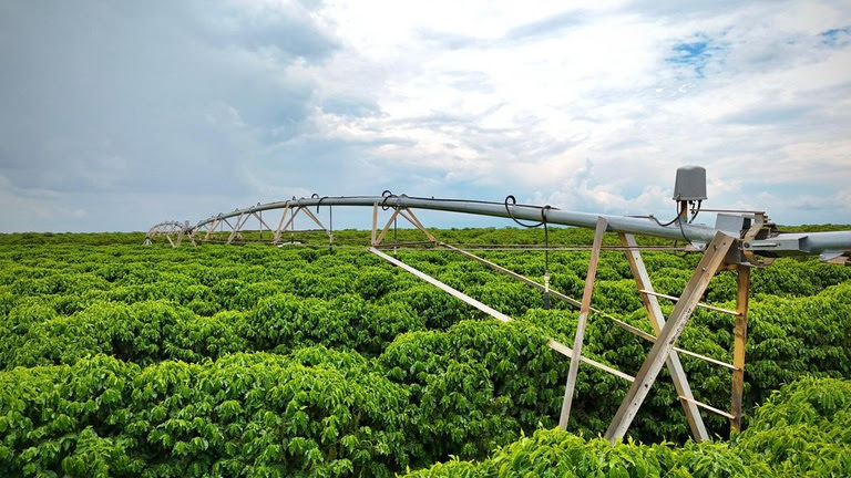  Governo formaliza regras para ampliar a eficiência da irrigação no campo Portaria interministerial institui oficialmente o Programa Nacional de Irrigação Sustentável (Pronisaf) e define prioridades para agricultores familiares.