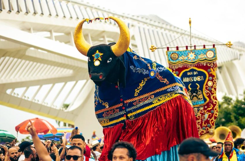  Boi da Macuca volta ao Recife após turnê histórica que lotou ruas do Rio e de São Paulo; confira as datas e locais de desfile em Pernambuco