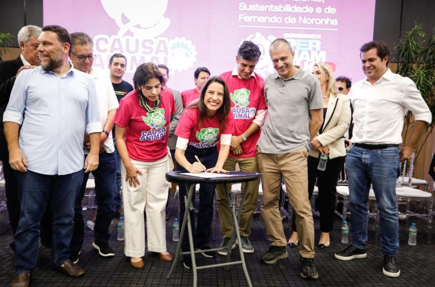  Raquel Lyra lança política estadual que vai garantir mais de 33 mil castrações gratuitas de cães e gatos Programa itinerante com castramóvel terá investimento de R$ 20 milhões e atendimento por agendamento online em Pernambuco