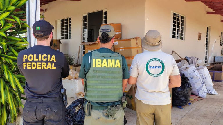  PF desarticula esquema de beneficiamento ilegal de barbatanas de tubarão na Bahia Ação conjunta com Inema e Ibama flagra 1,5 tonelada de barbatanas em Rodelas e leva sete pessoas à delegacia