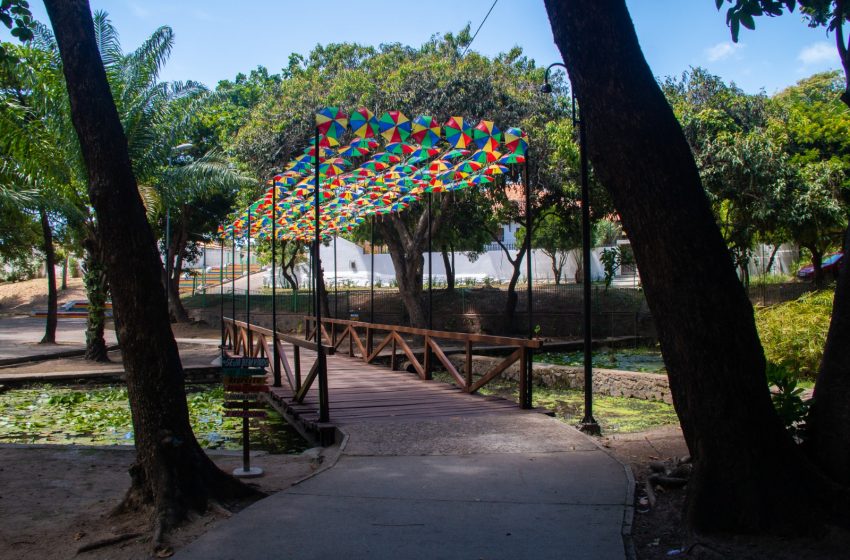  Feira Gastronômica Olinda Dá Gosto se consolida como o “oásis” do Carnaval em Olinda