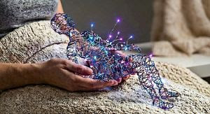  Nova lei reconhece fibromialgia como deficiência e amplia direitos para milhões de brasileiros Com regulamentação, pacientes passam a ter acesso a benefícios como filas e vagas preferenciais; especialista da UniCesumar orienta sobre laudo médico, Cordão de Girassol e solicitação junto aos órgãos públicos