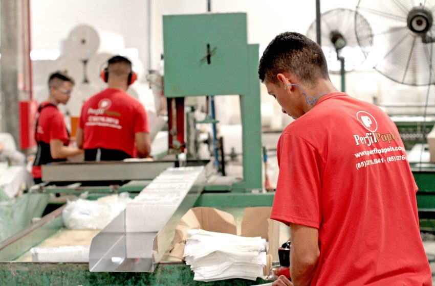  Nordeste registra maior queda do desemprego do Brasil em 2025, aponta IBGE Taxa de desocupação caiu em todos os estados da região, com destaque para Paraíba e Pernambuco; população ocupada chegou a 22,9 milhões de pessoas