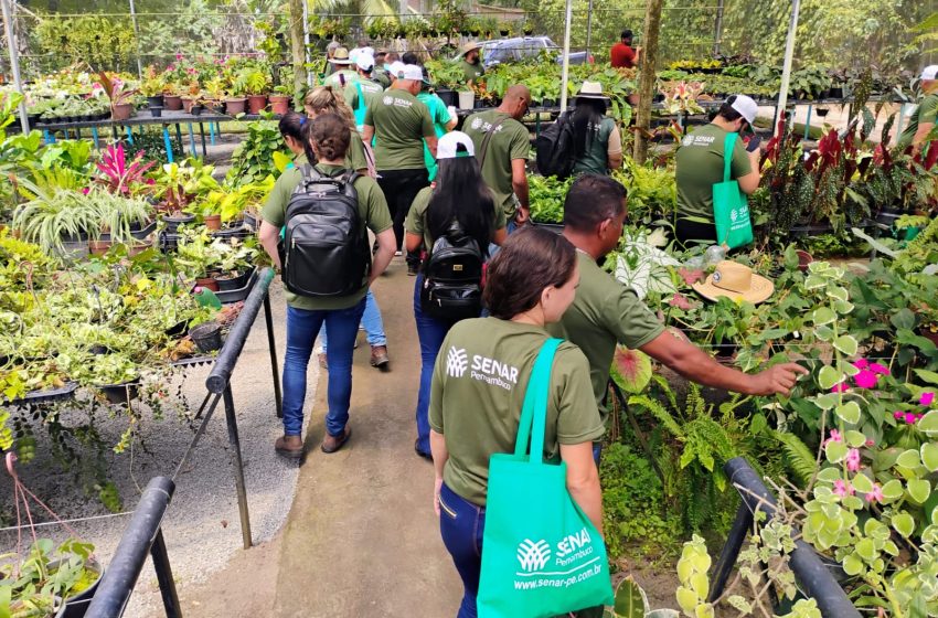  Serviço Nacional de Aprendizagem Rural abre 180 vagas para cursos técnicos gratuitos em Pernambuco Processo seletivo do Senar Pernambuco segue até 26 de maio com formações híbridas em áreas do agronegócio