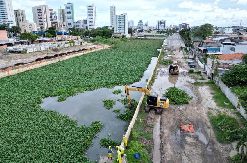  Governo de Pernambuco inicia limpeza do Canal do Fragoso antes do período chuvoso Ação conjunta com a Prefeitura de Olinda remove baronesas em área de 56 mil m² e reforça prevenção contra alagamentos