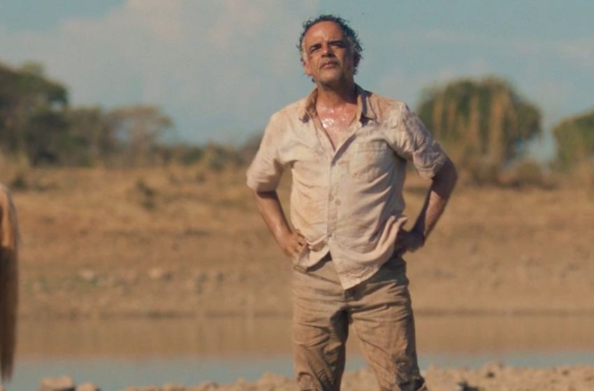  Cine Apipucos traz programação gratuita com filmes brasileiros e sessões ao ar livre nesta semana Exibições acontecem de quarta a domingo no Parque Apipucos, com Cine Feira, gastronomia e atividades culturais para o público