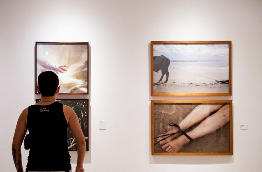  Últimos dias para visitar mostra que reúne 44 artistas pernambucanos no Parque Dona Lindu Exposição “Toda vez que dou um passo o Mundo sai do Lugar” segue até domingo (26), na Galeria Janete Costa, com entrada gratuita e panorama da arte contemporânea de Pernambuco