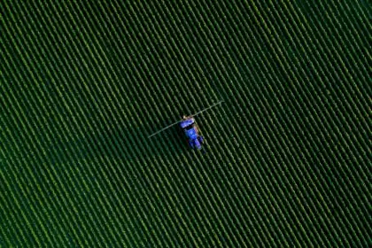  Mato Grosso do Sul atinge novo marco em geração de empregos e diminui dependência do Bolsa Família em 2025