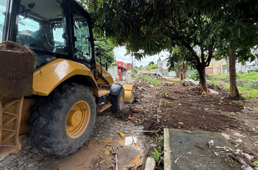  Prefeitura do Paulista reforça conscientização sobre descarte correto de resíduos sólidos Gestão municipal alerta que descarte irregular de lixo e entulhos pode provocar alagamentos, proliferação de doenças e entupimento de galerias