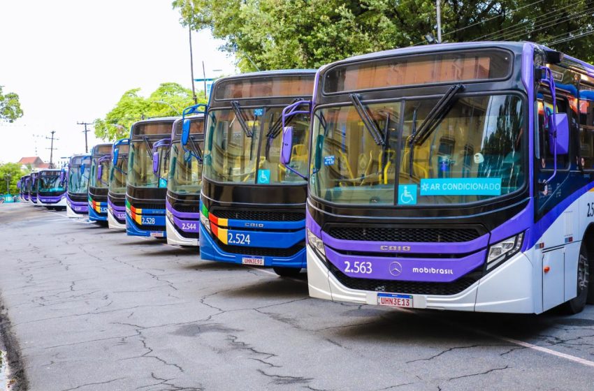  Governo de Pernambuco lança edital para compra de 100 ônibus elétricos para a Região Metropolitana do Recife Com investimento de R$ 310 milhões, iniciativa prevê renovação sustentável da frota do transporte público metropolitano com veículos mais modernos, confortáveis e sem emissão de poluentes