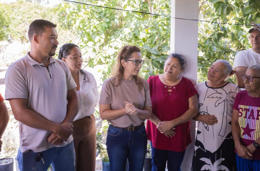 Débora Almeida articula entrega de máquinas agrícolas e fortalece produção rural em Brejão Comunidade Repartição recebeu ensiladeira e dois tratoritos para ampliar a produtividade e melhorar as condições de trabalho no campo