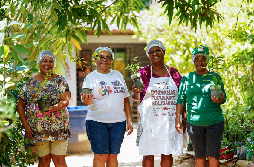  Prefeitura do Paulista promove programação especial de educação ambiental durante a Semana do Meio Ambiente Atividades incluem trilhas ecológicas, oficinas, exibição de filmes, palestras, jogos educativos e plantios simbólicos em escolas, unidades de conservação e espaços públicos do município