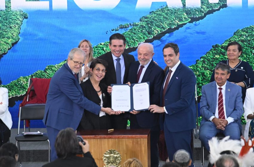 BNDES e BNB lançam edital de R$ 60 milhões para recuperar áreas degradadas da Caatinga Programa Recaatingar vai financiar projetos de restauração ambiental, produção sustentável, conservação da água e combate à desertificação em nove estados do Semiárido brasileiro