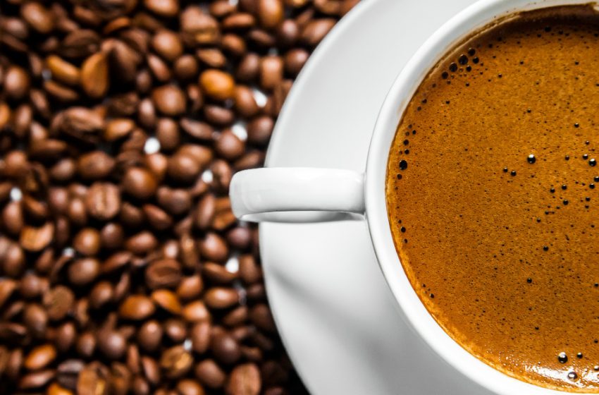  O papel do café na formação econômica de regiões produtoras brasileiras
