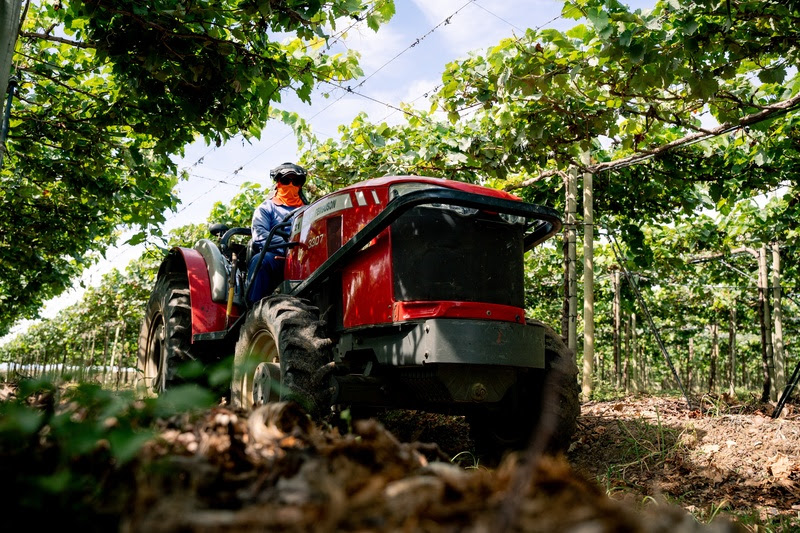  Crescimento da fruticultura no Nordeste reforça papel dos implementos agrícolas Região ampliou produção de frutas em 19% entre 2020 e 2024, enquanto máquinas e equipamentos ganham espaço no preparo do solo, plantio, correção da terra e apoio à colheita